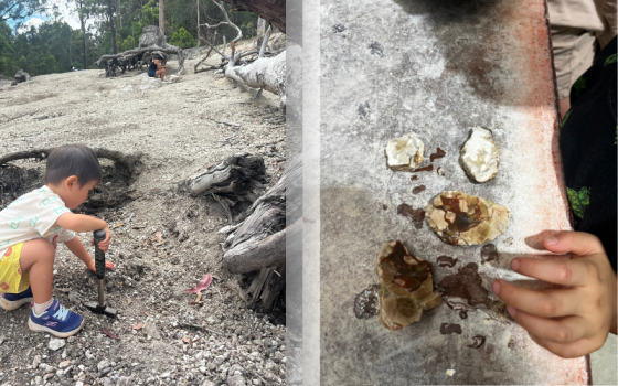 thunder eggs and crystals found at thunderbird park fossicking area tamborine mountain