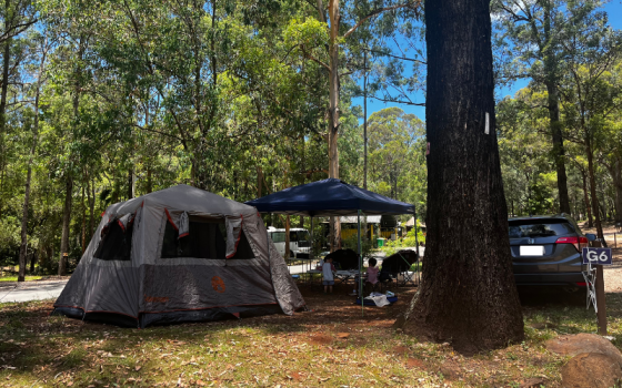 unpowered campsite g6 at thunderbird park tamborine mountain glades showing spacious family tent setup, gazebo, and parked car with trees providing privacy between sites 2